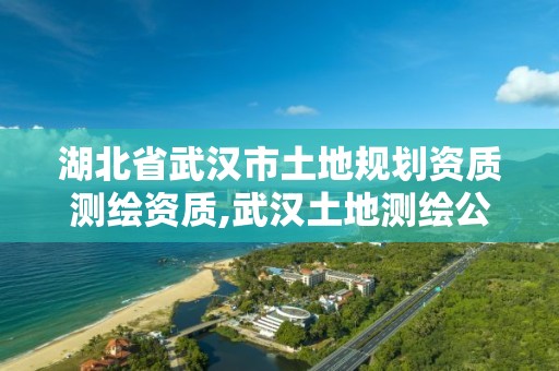 湖北省武汉市土地规划资质测绘资质,武汉土地测绘公司