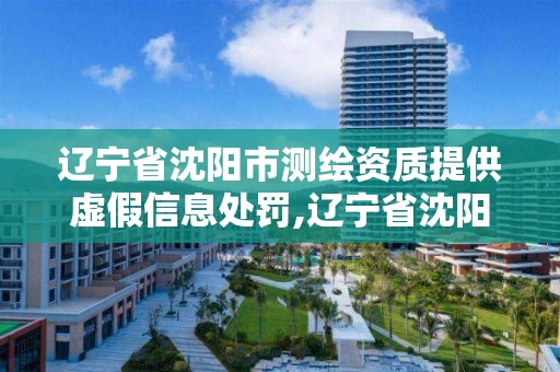 辽宁省沈阳市测绘资质提供虚假信息处罚,辽宁省沈阳市测绘资质提供虚假信息处罚多少