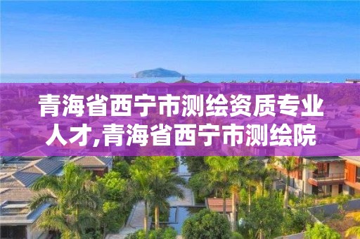 青海省西宁市测绘资质专业人才,青海省西宁市测绘院