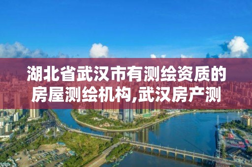 湖北省武汉市有测绘资质的房屋测绘机构,武汉房产测绘