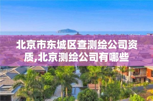 北京市东城区查测绘公司资质,北京测绘公司有哪些