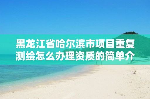 黑龙江省哈尔滨市项目重复测绘怎么办理资质的简单介绍