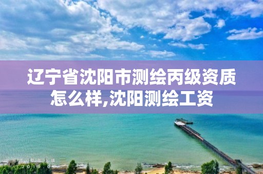 辽宁省沈阳市测绘丙级资质怎么样,沈阳测绘工资