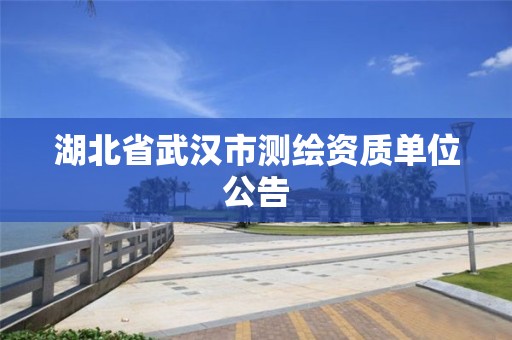 湖北省武汉市测绘资质单位公告