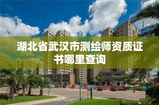 湖北省武汉市测绘师资质证书哪里查询