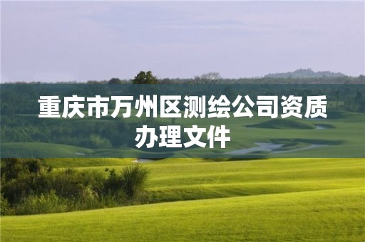 重庆市万州区测绘公司资质办理文件