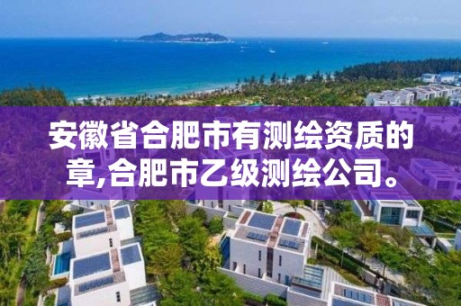 安徽省合肥市有测绘资质的章,合肥市乙级测绘公司。