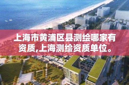 上海市黄浦区县测绘哪家有资质,上海测绘资质单位。