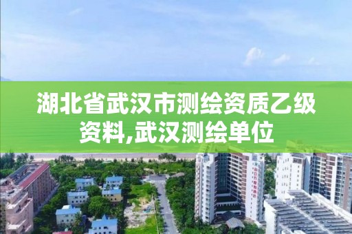 湖北省武汉市测绘资质乙级资料,武汉测绘单位