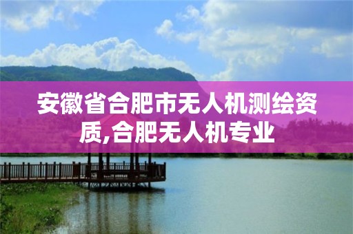 安徽省合肥市无人机测绘资质,合肥无人机专业