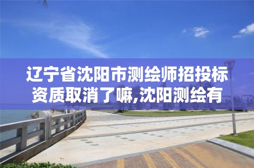 辽宁省沈阳市测绘师招投标资质取消了嘛,沈阳测绘有限公司。