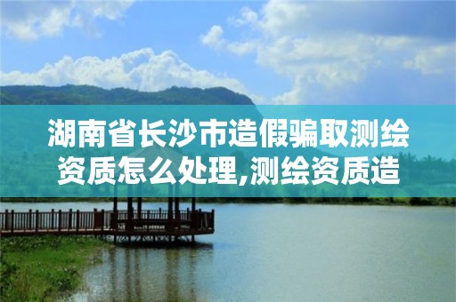 湖南省长沙市造假骗取测绘资质怎么处理,测绘资质造假在哪里举报