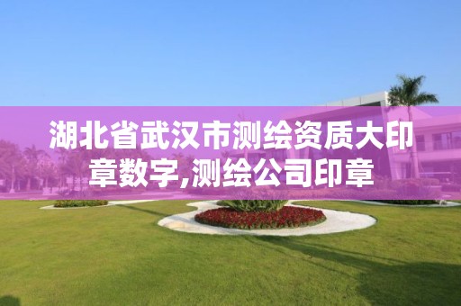 湖北省武汉市测绘资质大印章数字,测绘公司印章