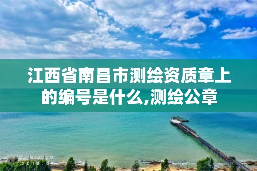 江西省南昌市测绘资质章上的编号是什么,测绘公章