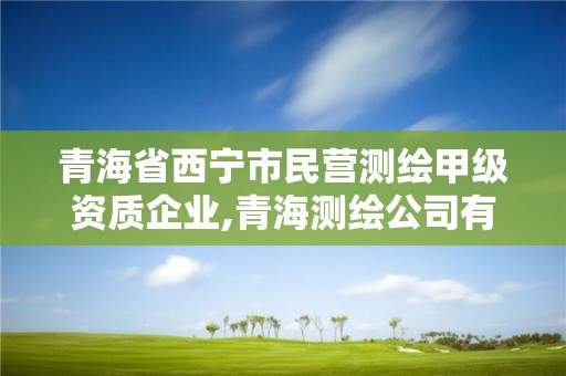 青海省西宁市民营测绘甲级资质企业,青海测绘公司有哪些