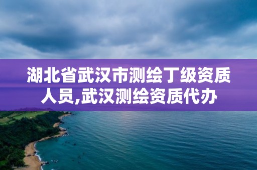 湖北省武汉市测绘丁级资质人员,武汉测绘资质代办