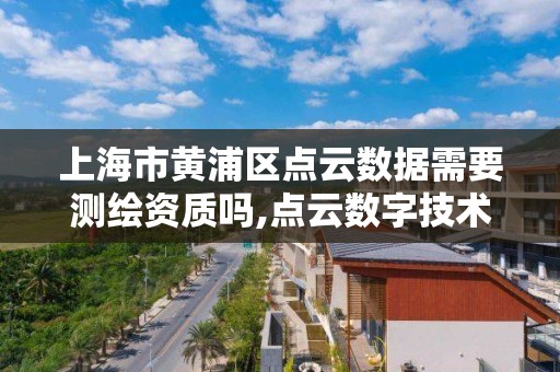 上海市黄浦区点云数据需要测绘资质吗,点云数字技术有限公司怎么样