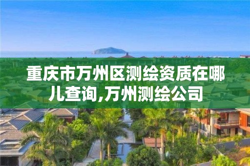 重庆市万州区测绘资质在哪儿查询,万州测绘公司