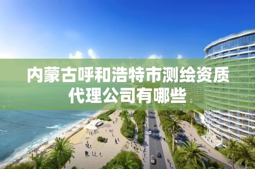 内蒙古呼和浩特市测绘资质代理公司有哪些