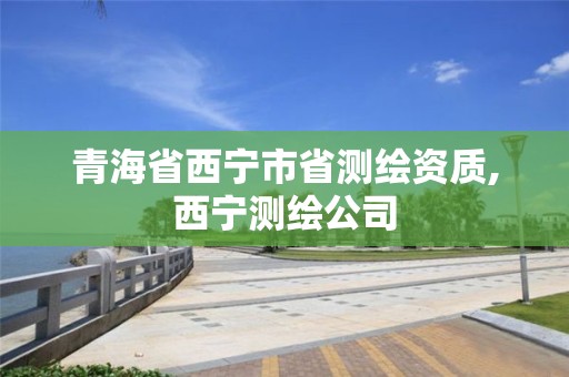 青海省西宁市省测绘资质,西宁测绘公司