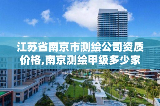 江苏省南京市测绘公司资质价格,南京测绘甲级多少家