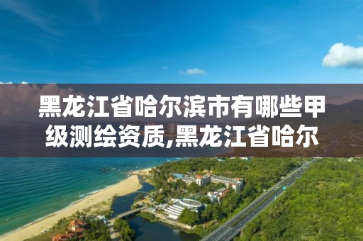 黑龙江省哈尔滨市有哪些甲级测绘资质,黑龙江省哈尔滨市有哪些甲级测绘资质的公司