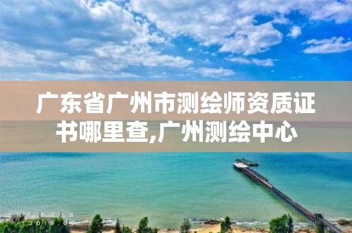 广东省广州市测绘师资质证书哪里查,广州测绘中心