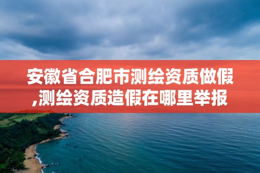 安徽省合肥市测绘资质做假,测绘资质造假在哪里举报