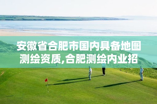 安徽省合肥市国内具备地图测绘资质,合肥测绘内业招聘。