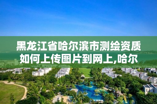 黑龙江省哈尔滨市测绘资质如何上传图片到网上,哈尔滨测绘地理信息局。