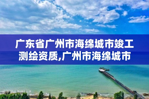 广东省广州市海绵城市竣工测绘资质,广州市海绵城市专项规划