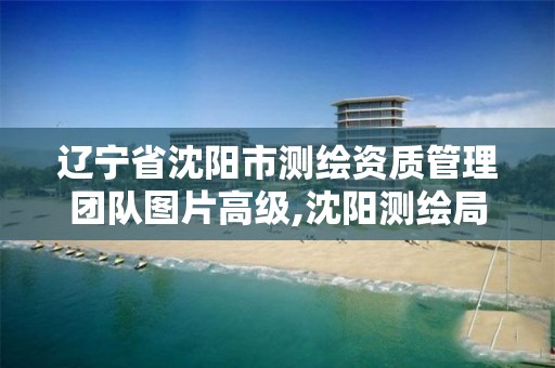 辽宁省沈阳市测绘资质管理团队图片高级,沈阳测绘局招聘