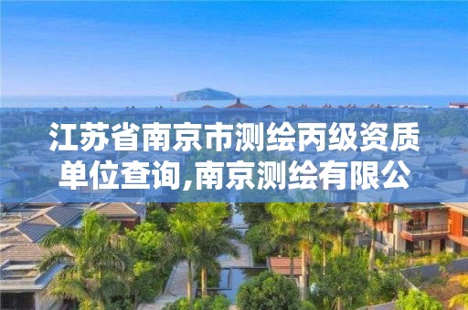 江苏省南京市测绘丙级资质单位查询,南京测绘有限公司