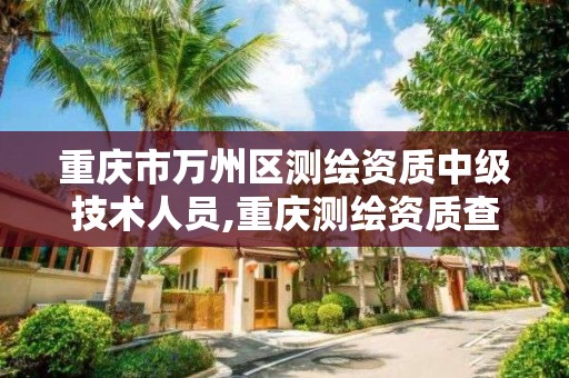 重庆市万州区测绘资质中级技术人员,重庆测绘资质查询