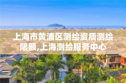 上海市黄浦区测绘资质测绘限额,上海测绘服务中心