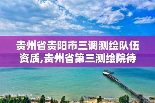 贵州省贵阳市三调测绘队伍资质,贵州省第三测绘院待遇。