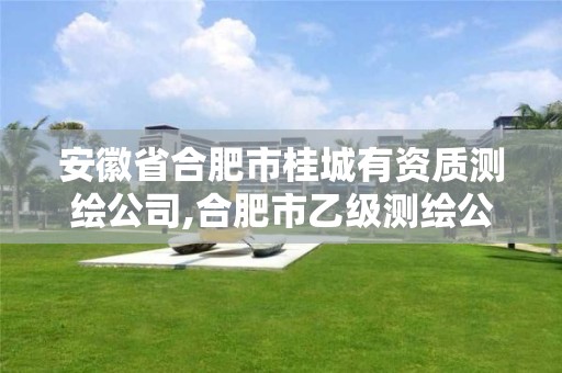 安徽省合肥市桂城有资质测绘公司,合肥市乙级测绘公司。