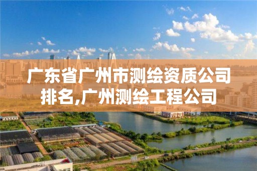 广东省广州市测绘资质公司排名,广州测绘工程公司