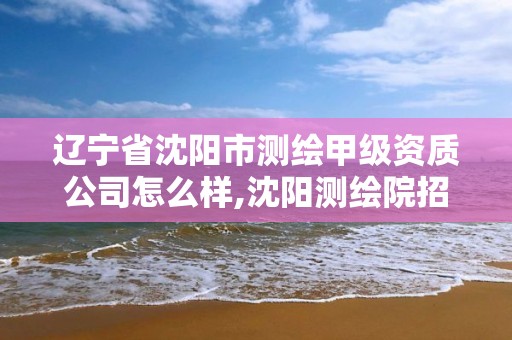 辽宁省沈阳市测绘甲级资质公司怎么样,沈阳测绘院招聘