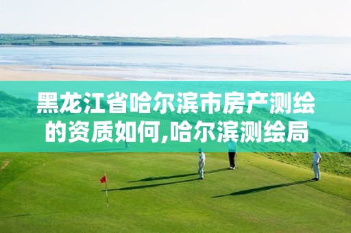 黑龙江省哈尔滨市房产测绘的资质如何,哈尔滨测绘局家属楼二手房