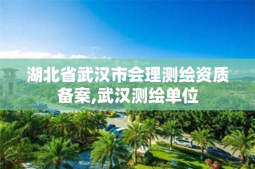 湖北省武汉市会理测绘资质备案,武汉测绘单位