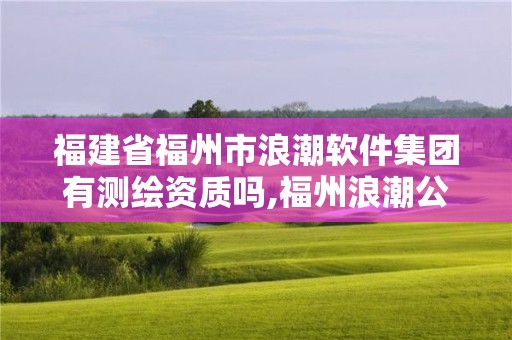 福建省福州市浪潮软件集团有测绘资质吗,福州浪潮公司。