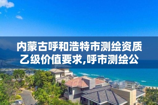 内蒙古呼和浩特市测绘资质乙级价值要求,呼市测绘公司