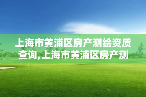 上海市黄浦区房产测绘资质查询,上海市黄浦区房产测绘资质查询官网