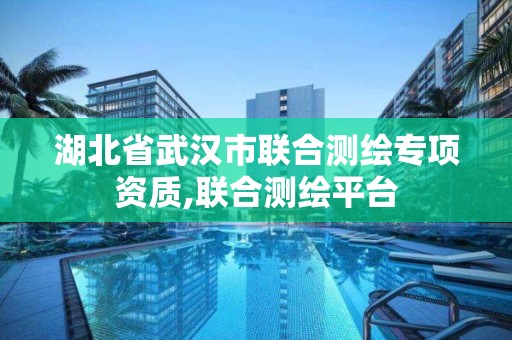 湖北省武汉市联合测绘专项资质,联合测绘平台