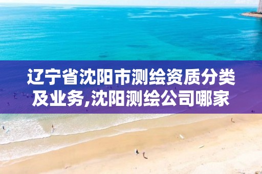 辽宁省沈阳市测绘资质分类及业务,沈阳测绘公司哪家强哪家好