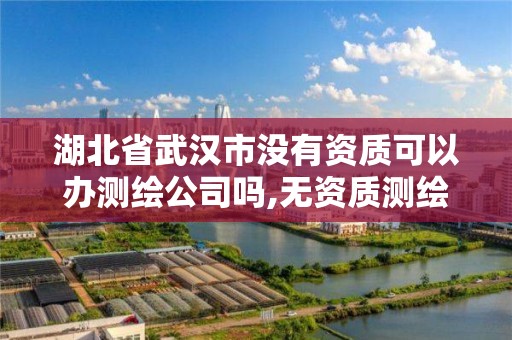 湖北省武汉市没有资质可以办测绘公司吗,无资质测绘