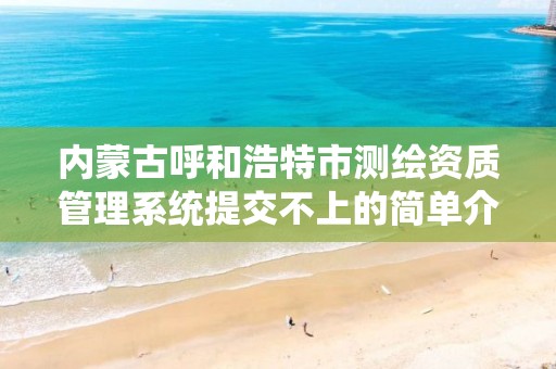 内蒙古呼和浩特市测绘资质管理系统提交不上的简单介绍