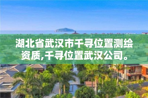 湖北省武汉市千寻位置测绘资质,千寻位置武汉公司。