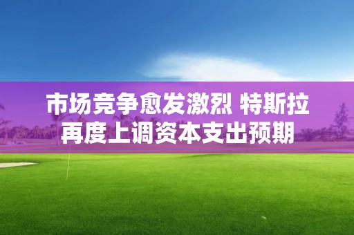 市场竞争愈发激烈 特斯拉再度上调资本支出预期